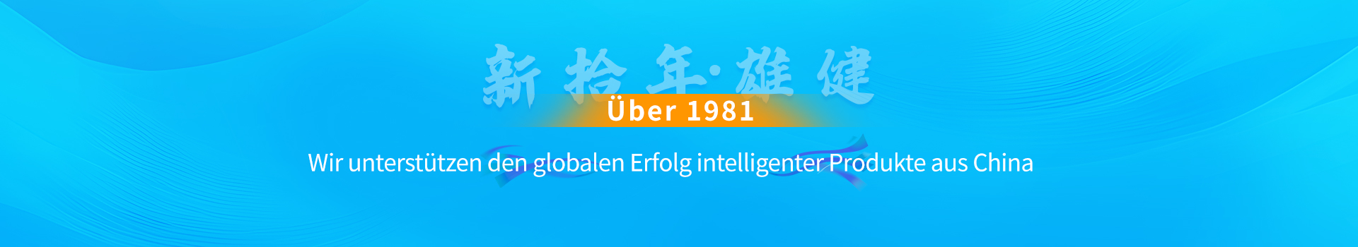 1981 Profil