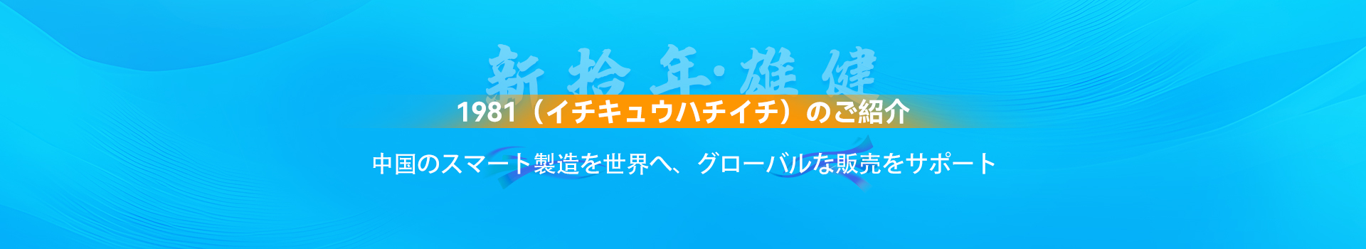 1981社の概要