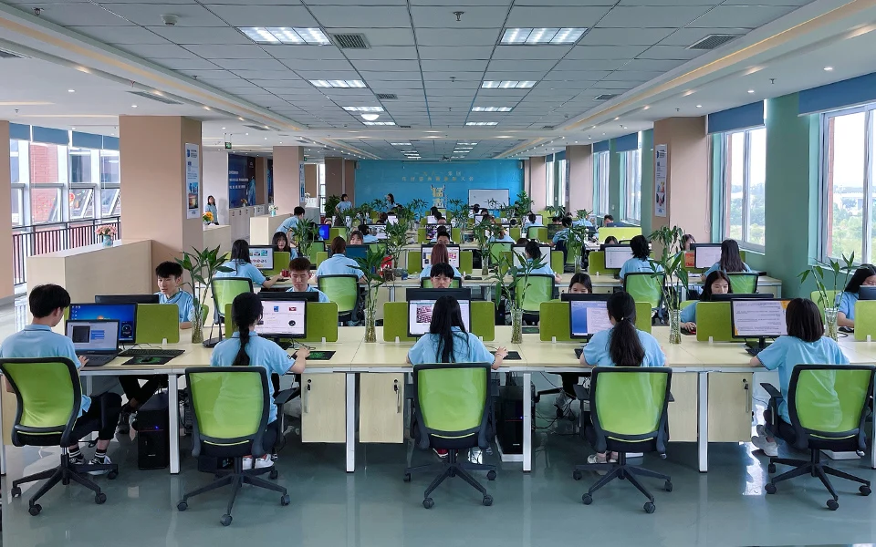 Our Offices