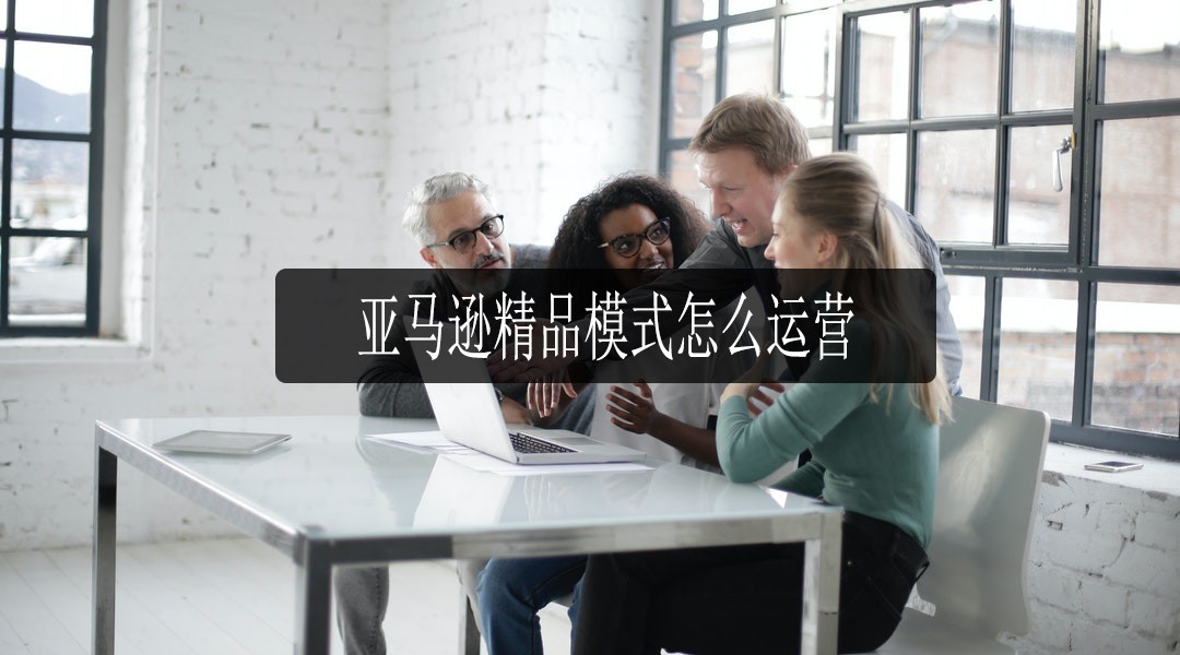 亚马逊精品模式运营