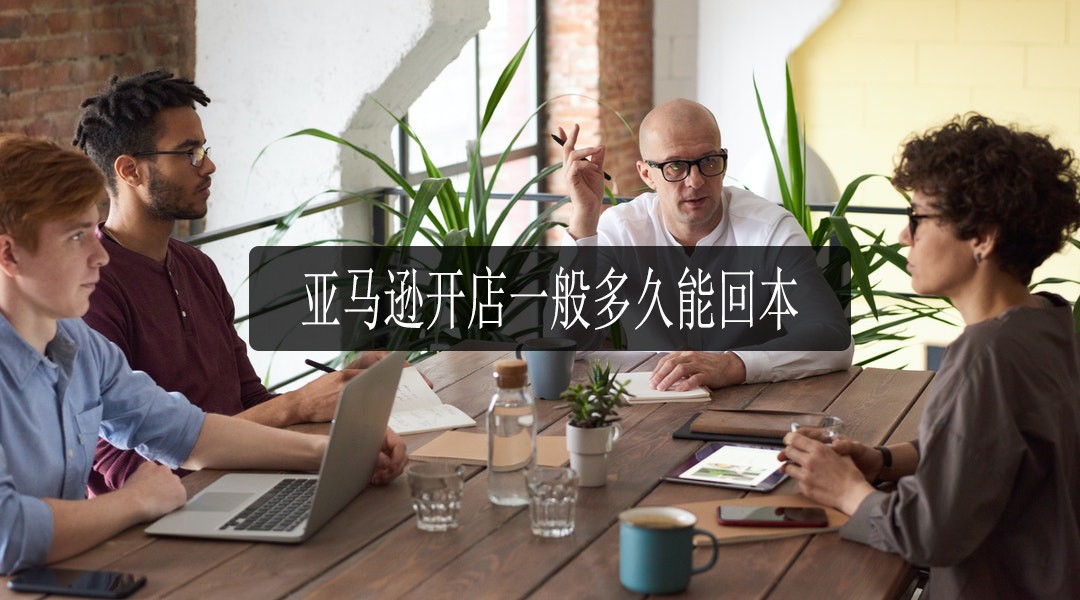 亚马逊开店盈利