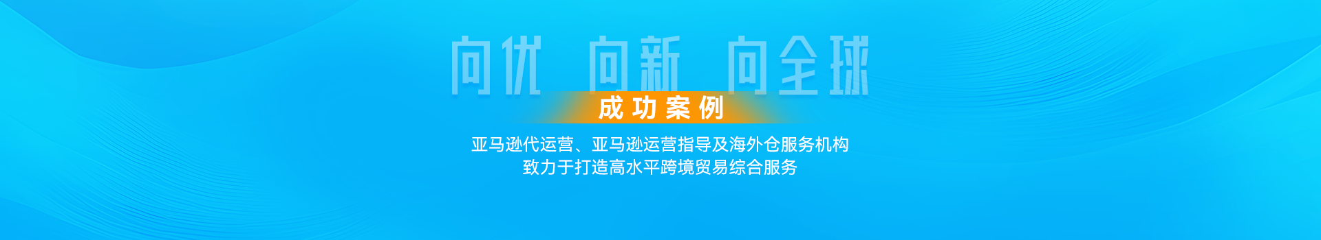 代运营案例