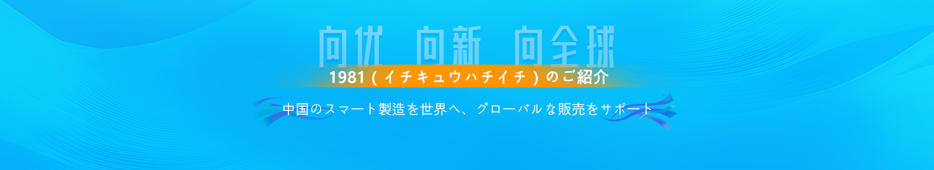 1981社の概要